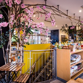 Bluebird Chelsea
