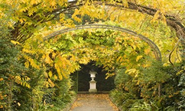 5 secret gardens in london 